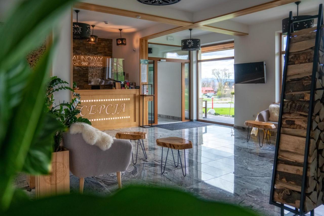 Malinowy Potok Otel Bialka Tatrzanska Dış mekan fotoğraf